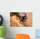 Mountainbiker rides in gorge on desert Wall Mural