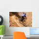 Mountainbiker rides in gorge on desert Wall Mural
