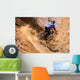 Mountainbiker rides in gorge on desert Wall Mural