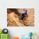 Mountainbiker rides in gorge on desert Wall Mural