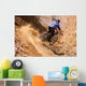 Mountainbiker rides in gorge on desert Wall Mural