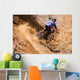 Mountainbiker rides in gorge on desert Wall Mural