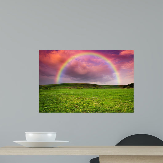 Rainbow in the Storm Wall Mural