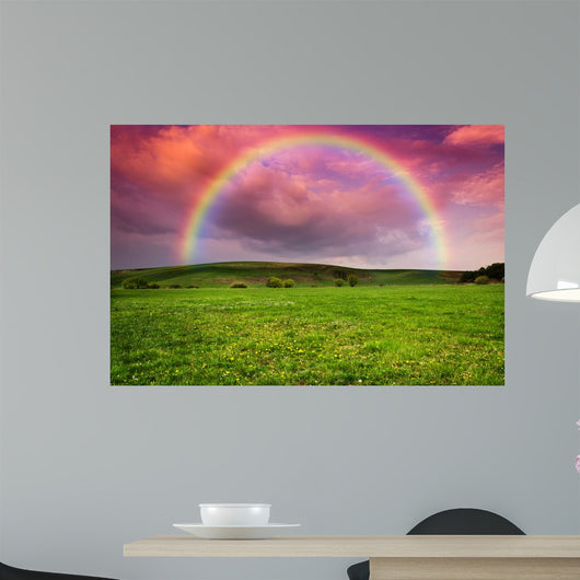 Rainbow in the Storm Wall Mural