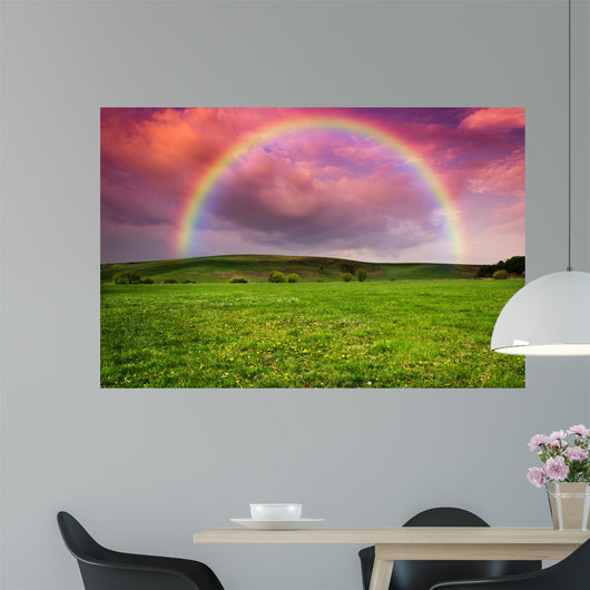 Rainbow in the Storm Wall Mural