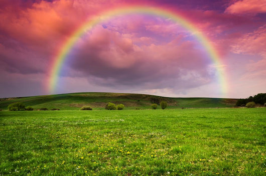 Rainbow in the Storm Wall Mural