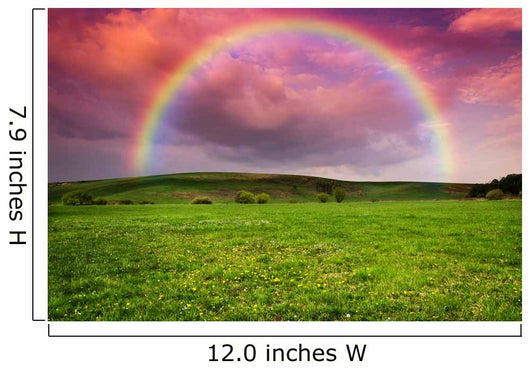Rainbow in the Storm Wall Mural