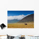 large male elephant walking in the savannah Wall Mural