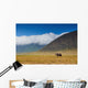 large male elephant walking in the savannah Wall Mural