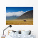 large male elephant walking in the savannah Wall Mural