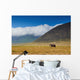 large male elephant walking in the savannah Wall Mural