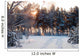 Winter Forest Sunrise Look