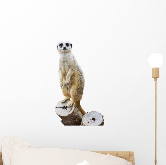 Mongoose Wall Decal