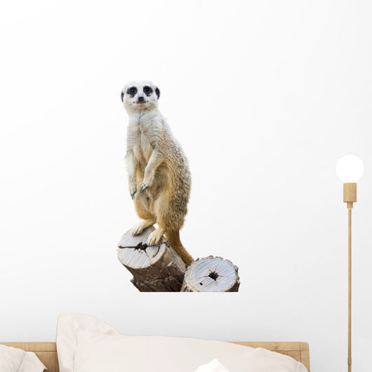 Mongoose Wall Decal