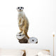 Mongoose Wall Decal