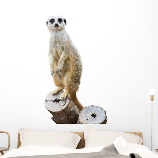 Mongoose Wall Decal