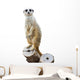 Mongoose Wall Decal