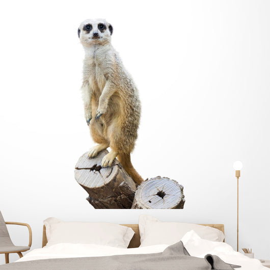 Mongoose Wall Decal