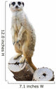 Mongoose Wall Decal