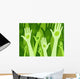 Living green concept Wall Mural