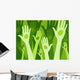 Living green concept Wall Mural