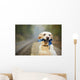 Dog on the railway platform Wall Mural
