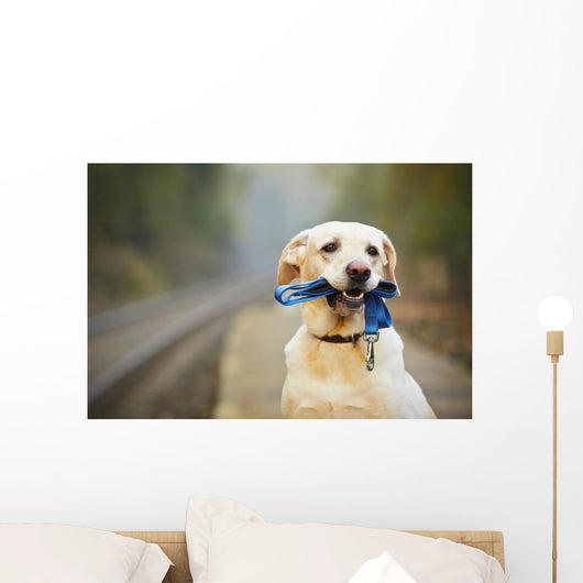 Dog on the railway platform Wall Mural