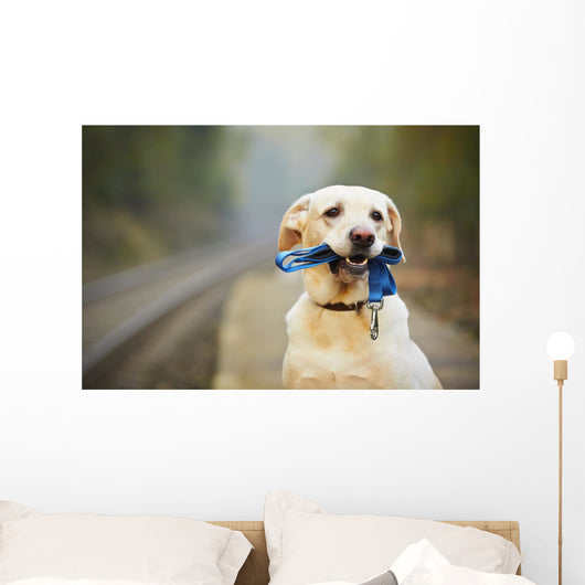 Dog on the railway platform Wall Mural