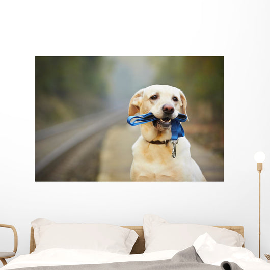 Dog on the railway platform Wall Mural