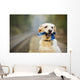 Dog on the railway platform Wall Mural