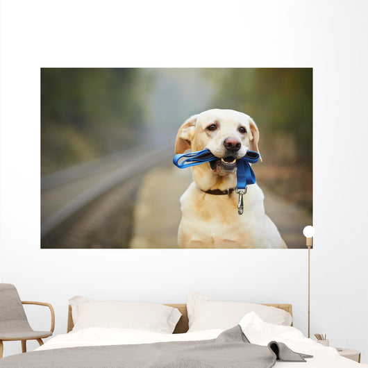 Dog on the railway platform Wall Mural