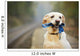 Dog on the railway platform Wall Mural