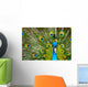male peacock Wall Mural