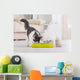Dog and cat eating food from a bowl Wall Mural