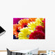 Gerbera Flowers Wall Decal