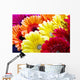Gerbera Flowers Wall Decal