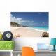 Pink Bermuda Beach Wall Mural