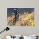 Mountainbiker Rides Autumn Path