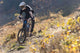 Mountainbiker Rides Autumn Path
