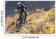 Mountainbiker Rides Autumn Path