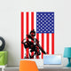 Vector Illustration Us Marine