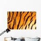 Bengal tiger skin. Wall Mural