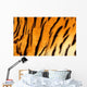 Bengal tiger skin. Wall Mural
