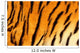 Bengal tiger skin. Wall Mural