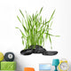 Fresh Grass and Stones