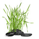Fresh Grass and Stones