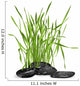 Fresh Grass and Stones