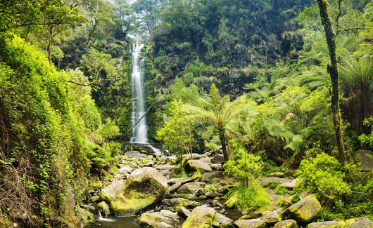 Erskine Falls Waterfall Wall Mural