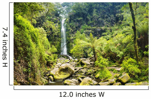 Erskine Falls Waterfall Wall Mural