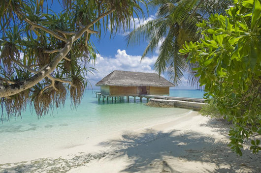 Tropical Island Resort